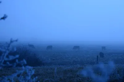 DSC_1026 (Large).JPG